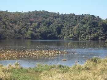 Katano Kamoike Lake (Ramsar site) on Oct. 18, 2014