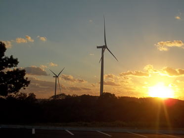 Awara Wind Farm on Oct. 17, 2014