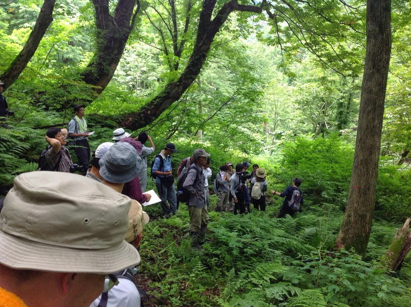 Tadami Biosphere Reserve on Aug. 4, 2014